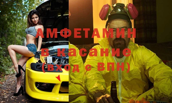 прущие грибы Белокуриха