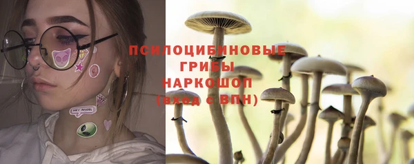 молекула духа Беломорск