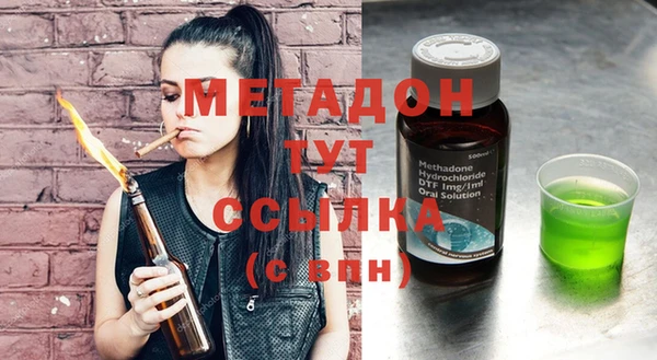 прущие грибы Белокуриха