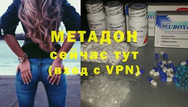 прущие грибы Белокуриха