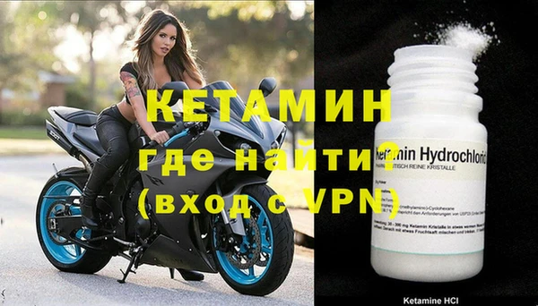 прущие грибы Белокуриха