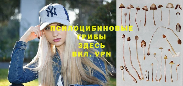 молекула духа Беломорск