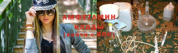 прущие грибы Белокуриха