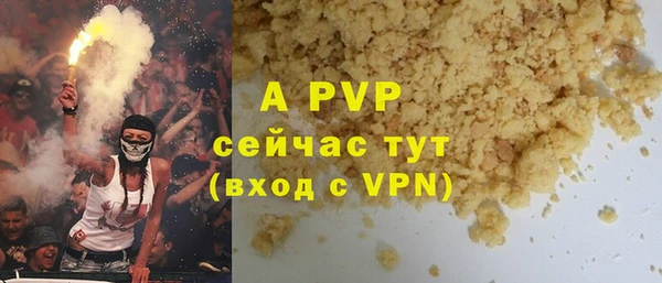 прущие грибы Белокуриха